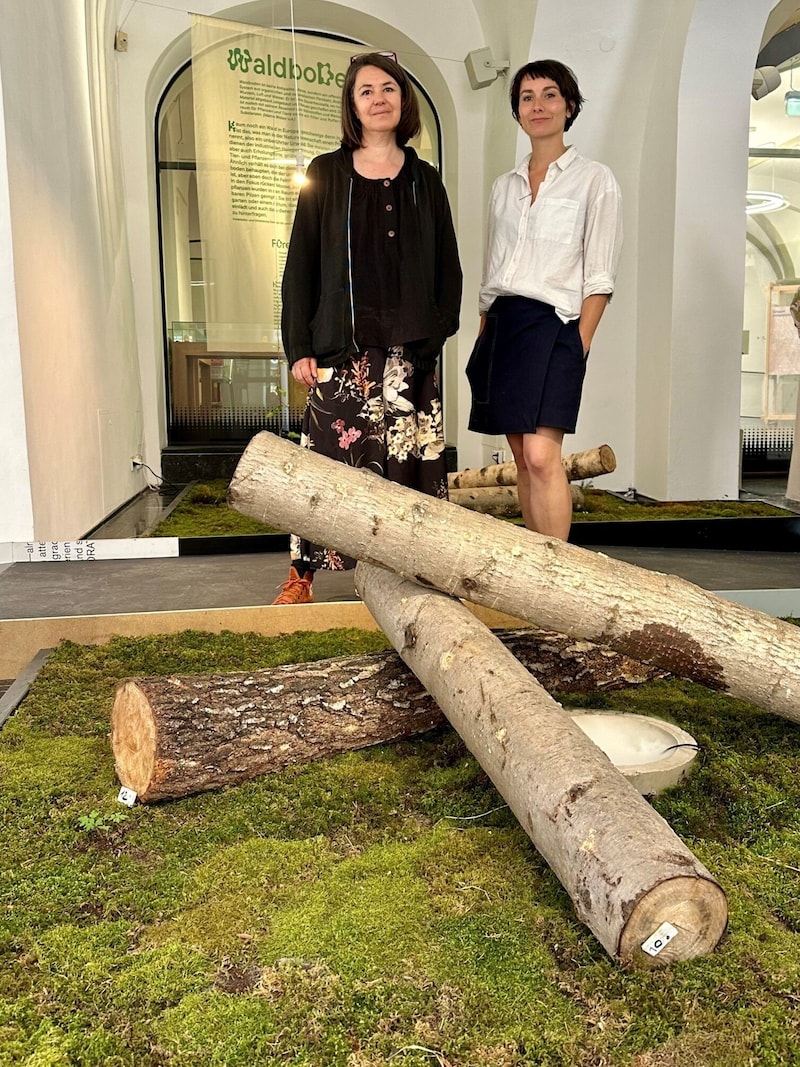 Helene Thümel (re.) und Gabriele Hiti in ihrer Installation „Waldboden“ (Bild: Christoph Hartner)