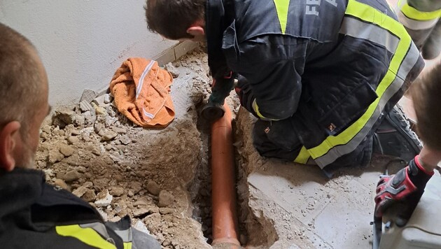 Ein Stück Boden im Keller musste aufgestemmt werden, damit das Tierbaby gerettet werden konnte.