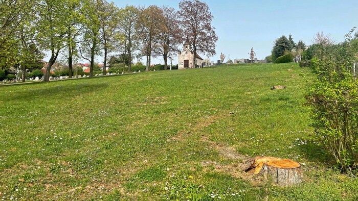 The Catholic cemetery is quite bare after a row of trees was felled.