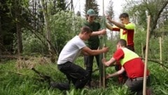 Forstwirtschafts-Lehrer Stephan Widmayr (re.) gab den Klessheim-Schülern David, Franz und Lukas Tipps. (Bild: Tröster Andreas)