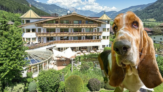 Hotel Magdalena in Ried im Zillertal is in first place in Tyrol. (Bild: Hotel Magdalena/Hansi Trompka/Krone KREATIV)