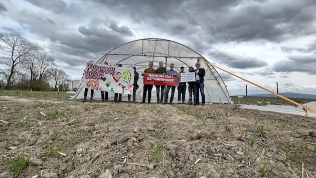 Opponents of road construction plant vegetables on one of the expropriated fields (Bild: Plattform Vernunft statt Ostumfahrung)