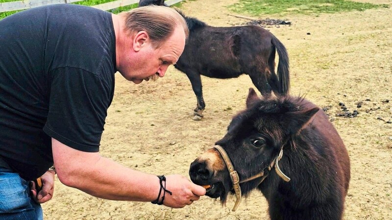 „LUCY“: Das Herz unseres Fotografen Sepp Pail geht auf, wann immer er die Mulidame „Lucy“ und ihr Brüderchen „Lucky“ sieht. (Bild: Sepp Pail)