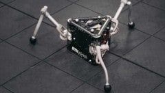 Forscher an ETH Zürich haben einen Roboter (Bild) entwickelt, der sich hüpfend fortbewegt. (Bild: EHT Zürich/Dominik Lindegger)