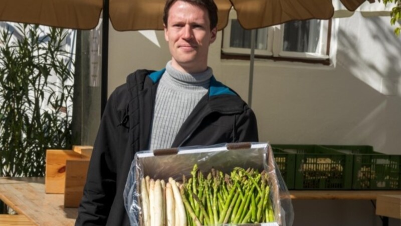 Andreas Haider aus Illmitz produziert weißen und grünen Spargel. (Bild: Charlotte Titz)