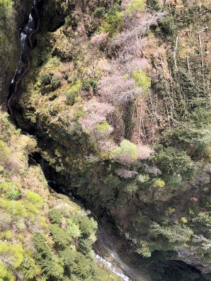 All the footbridges in the gorge are damaged. 