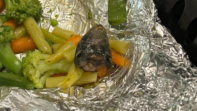 The young Viennese woman discovered this mouse head while frying vegetables in the pan. (Bild: „Krone“-Leserreporter)