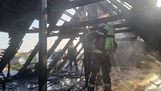 (Bild: FF Wiener Neustadt) (Bild: FF Wiener Neustadt)