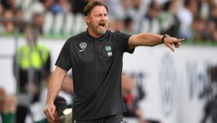 Ralph Hasenhüttl versucht sich derzeit als „Wolfs-Dompteur“.  (Bild: APA/dpa/Swen Pförtner)