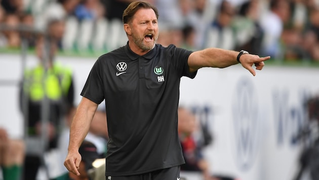 Ralph Hasenhüttl is currently trying his hand at being a "wolf tamer". (Bild: APA/dpa/Swen Pförtner)