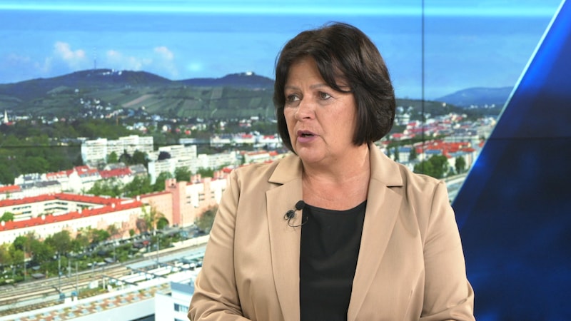 AK President Renate Anderl: "Parents and pupils must not fall by the wayside." (Bild: krone.tv)