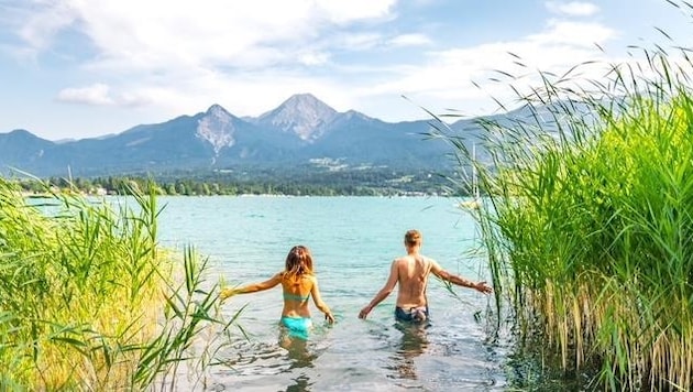 Radfahren und Schwimmen sind die wesentlichen Hauptgründe für einen Urlaub in Kärnten. (Bild: Region Villach Tourismus Gmbh/Michael Stabentheiner)