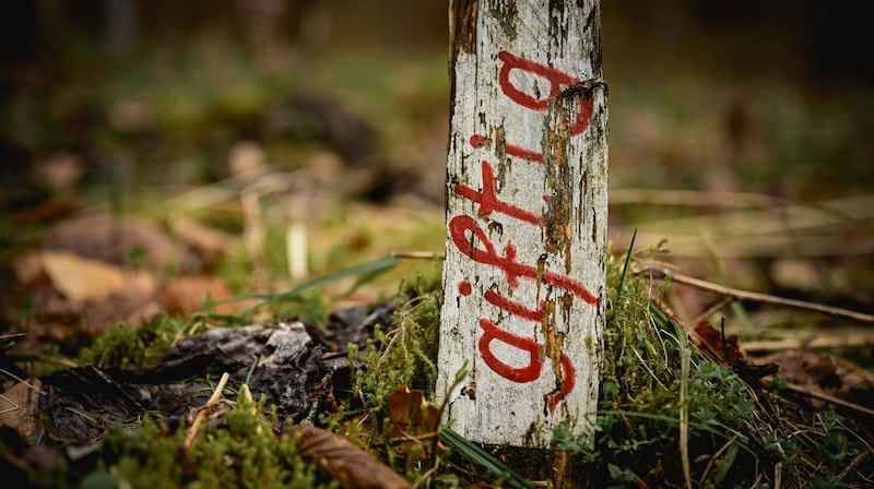 Ein verwittertes Warnschild neben dem Weg warnt vor Giftigem. (Bild: Wenzel Markus)