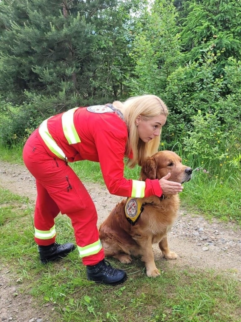 Golden Retriever Ivo ist Friessers dritter Rettungshund. (Bild: zVg)