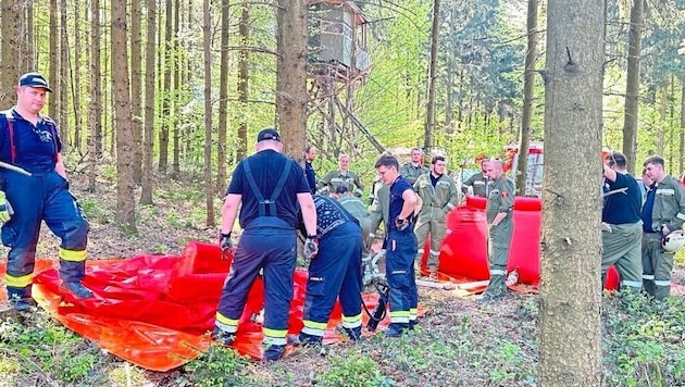 Die Schlagkraft der Feuerwehr war beim Löschen des Waldbrandes gefragt. (Bild: Christian Schulter)