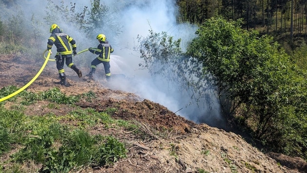 The forest fire in Wartberg ob der Aist was quickly extinguished. (Bild: TEAM FOTOKERSCHI.AT / SIMON BRANDSTÄTTER)