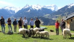 Ein „Familientreffen“ vor Traumkulisse – die Montafoner Sportler um Olympiasieger Alessandro Hämmerle (3. v. r.) am Bartholomäberg mit Harald Bitschnaus Steinschafen. (Bild: Peter Weihs/Kronenzeitung)