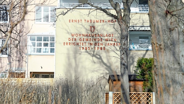 Az Ernst-Theumer-Hof évek óta a viták melegágya. (Bild: Reinhard Holl)