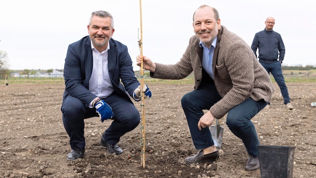 Provincial Councillor Heinrich Dorner and Building Director Wolfgang Heckenast planting young trees. (Bild: LMS)