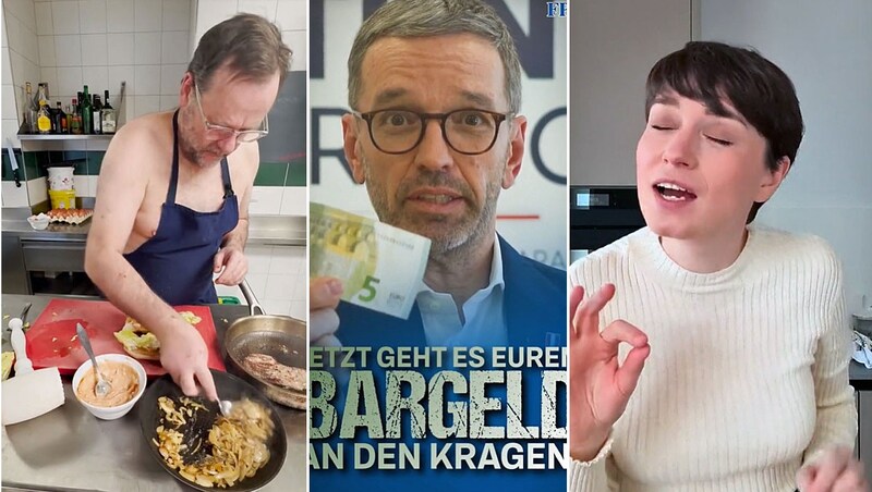 Sepp Schellhorn kocht, Herbert Kickl warnt und Sigi Maurer tanzt. (Bild: Screenshots tiktok.com/@seppschellhorn, tiktok.com/@sigi_maurer, tiktok.com/@kicklherbert, Krone KREATIV)