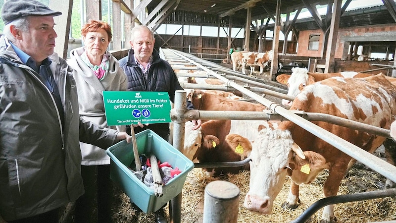 Karl Obenaus (Sprecher der Grazer Bauern), LK-Vizechefin Maria Pein und der stark betroffene Andritzer Bauer Johann Altmann treten als Mahner und für mehr Bewusstsein auf. (Bild: Sepp Pail)