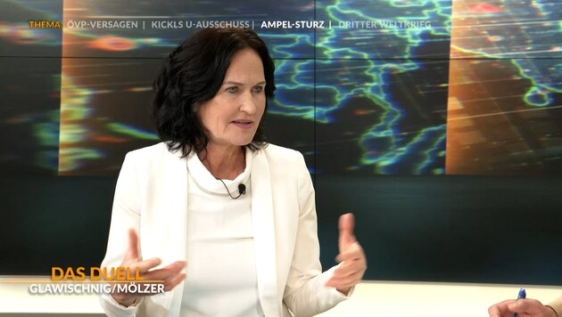 "Das Duel Politics" every Tuesday at 21:15 on krone.tv (Bild: krone.tv)