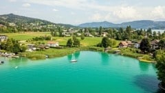 Das Buberlemoos auf der Roseneck-Halbinsel soll ein Naturdenkmal werden. Grundwasser-Bohrungen brachten erschütternde Ergebnisse. (Bild: Die Grünen/Smartlake media)