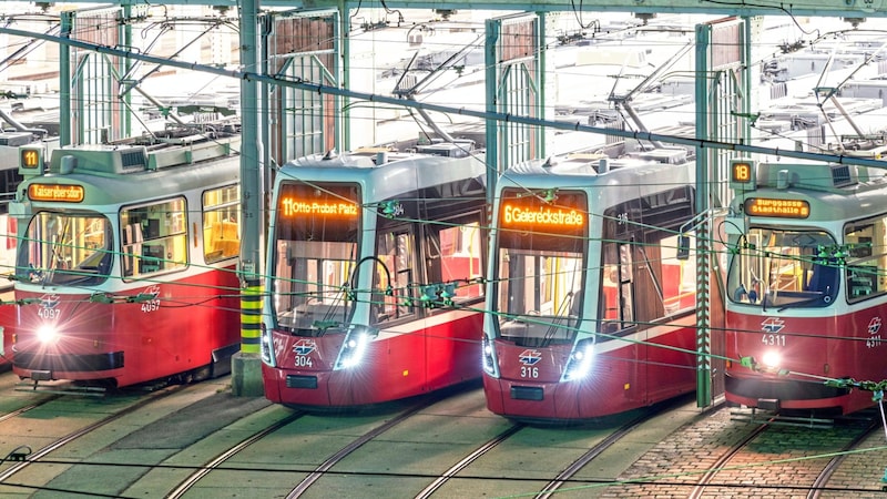 Wien hat bereits jetzt das sechstgrößte Straßenbahnnetz der Welt und es wird noch weiter wachsen. (Bild: Wiener Linien / Manfred Helmer)