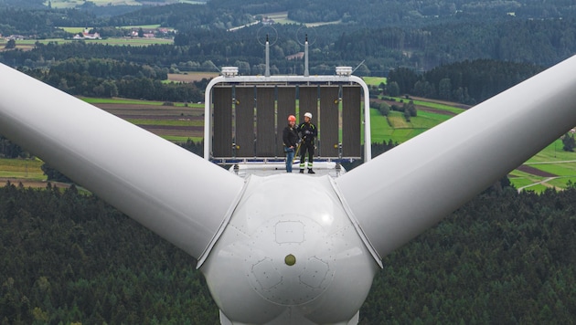Huge rotors are intended to drive the energy transition. However, ornithologists consider certain locations to be unsuitable. (Bild: Benjamin Wald)