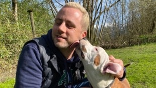 Die Junghunde sind neugierig, sehr verschmust und möchten noch viel lernen.