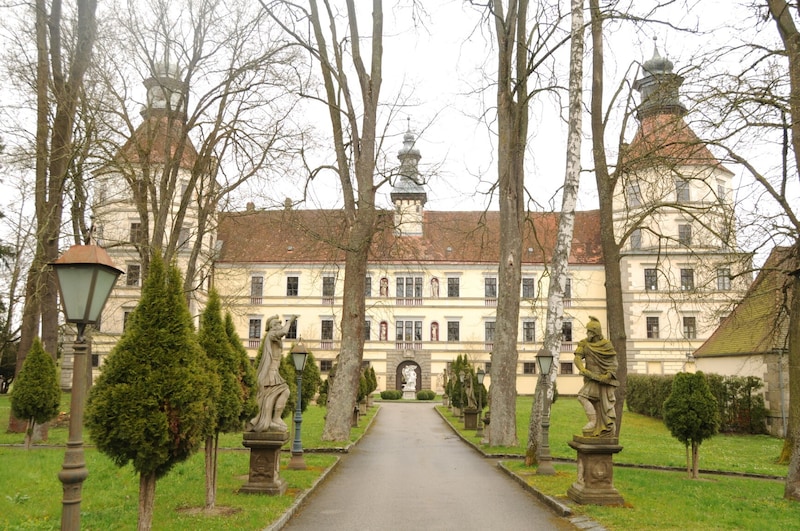 Das Waldviertler Juwel Schloss Schwarzenau wird auf einer Internet-Verkaufsplattform über Raiffeisen Immobilien zum Kauf angeboten.  (Bild: René Denk)