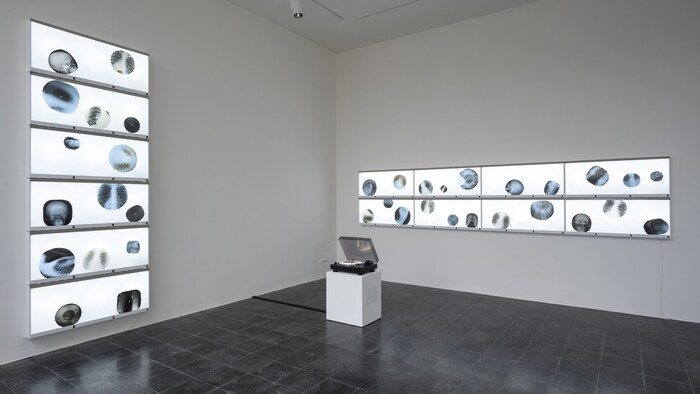 Anna Jermolaewa's installation "Ribs" from 2022