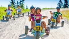 Abenteuer für die ganze Familie: Vom Gipfel ins Tal geht es mit den Mountain- Gokarts auf der Hochwurzen in Schladming (Bild: Ikarus)