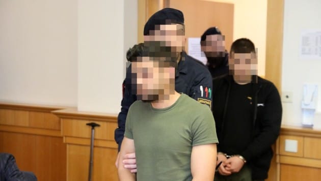 Der Rumäne im grünen T-Shirt und der Italiener bei ihrem Prozess im Wiener Landesgericht. (Bild: Martin Jöchl, Krone KREATIV)
