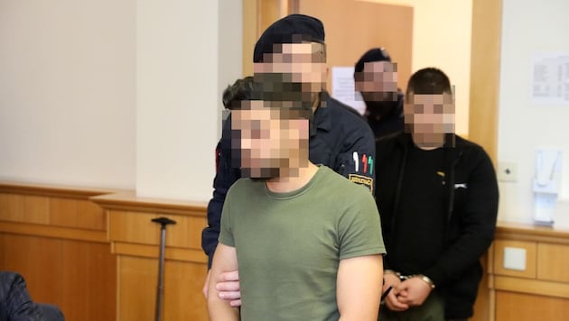 The Romanian in the green T-shirt and the Italian at their trial in Vienna Regional Court (Bild: Martin Jöchl, Krone KREATIV)