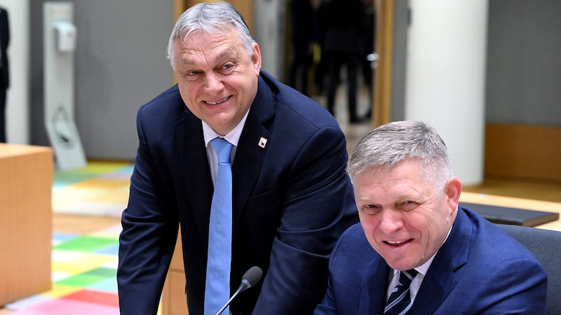 Gelten in der EU als Verbündete: Ungarns Ministerpräsident Viktor Orbán und sein slowakischer Amtskollege Robert Fico (Bild: APA/AFP/JOHN THYS)