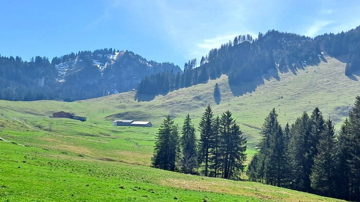 Der Name Schuttannen soll von einer übergroßen Wettertanne abgeleitet worden sein.
