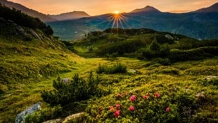 Viele Wintersportgebiete sind auch im Sommer eine Reise wert. Wie etwa die Region Obertauern in Salzburg. (Bild: (c) Vit Kovalcik, stock.adobe.com)