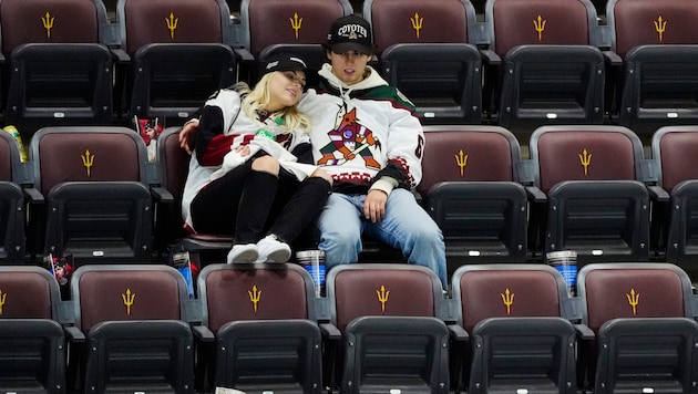 Arizona Coyotes (Bild: Copyright 2024 The Associated Press. All rights reserved)