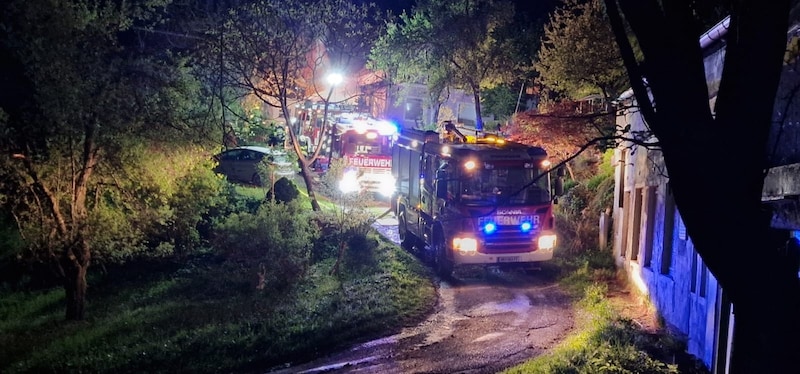 Die Feuerwehren Götzendorf, Schäffern und Sparberegg waren an dem Löscheinsatz beteiligt (Bild: Freiwillige Feuerwehr Götzendorf)