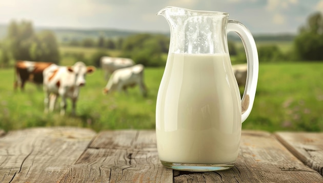 Die WHO warnt vor dem Konsum von Rohmilch und empfiehlt, nur pasteurisierte Milchprodukte zu konsumieren. (Bild: Philipp - stock.adobe.com)