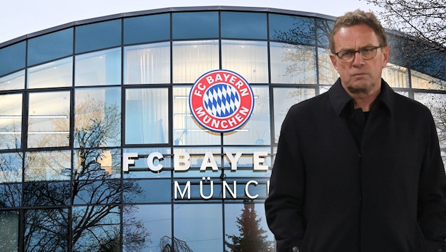 Ralf Rangnick has already been in talks with Bayern. (Bild: GEPA, APA/dpa/Felix Hörhager)