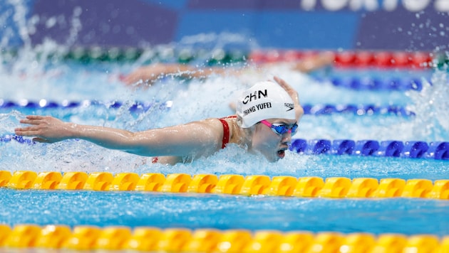 Im Fokus: 23 chinesische Schwimmer (Bild: APA/AFP/Odd ANDERSEN)