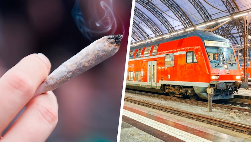 Die Hausordnung bei der deutschen Bahn soll geändert werden. (Bild: Brian_Kinney – stock.adobe.com, Krone KREATIV)