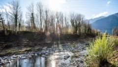 Schattenspender sehen anders aus: In Reichenau an der Rax sorgte der „Kahlschlag“ am Flussufer für Aufsehen. (Bild: DORISSEEBACHER)