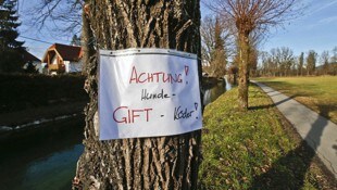 In Graz ist bei Hunde-Besitzern oberste Vorsicht geboten.