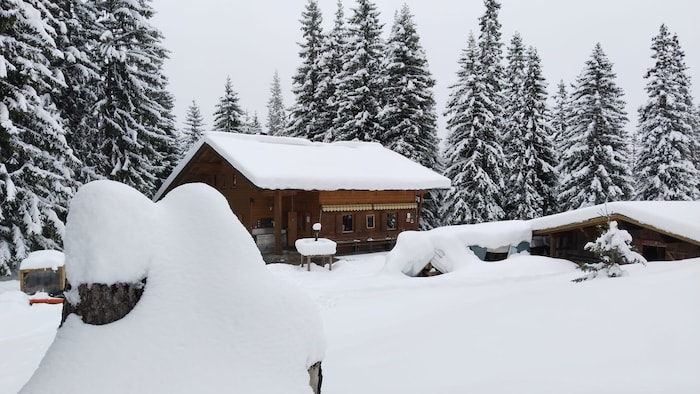 Die Neue Alplhütte (1540 m) bei Telfs am Sonntag im „Winterkleid“.