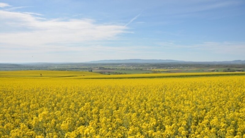 Der Ausblick von Ritzing zum Günsergebirge. (Bild: www.rolf-majcen.com)