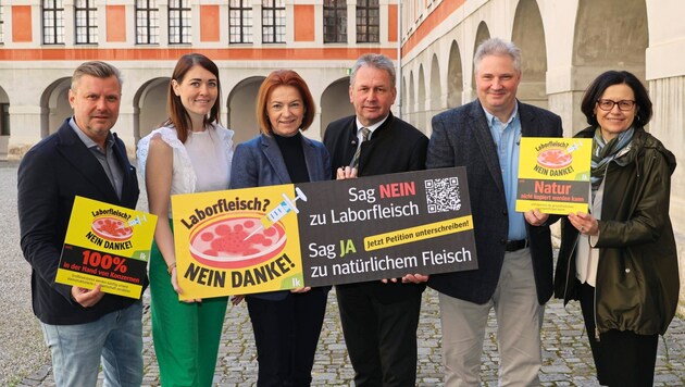 The initiators of the petition: top chef Christof Widakovich, farmer Melanie Haas, State Councillor for Agriculture Simone Schmiedtbauer, President of the Chamber of Agriculture Franz Titschenbacher, traditional butcher Josef Mosshammer and nutritionist Sandra Holasek (from left to right). (Bild: Christian Jauschowetz)