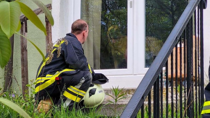 Erst nachdem der Schäferhund im Haus eingesperrt worden war, konnten die Ersthelfer die gestürzte 63-Jährige versorgen. (Bild: DOKU-NÖ)